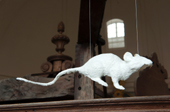 picture - pulpit rat