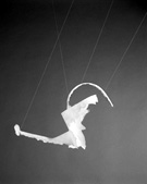 picture - watering can